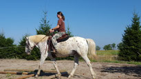 Training mit Stangen