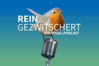 Informationen zum neuen Vogelbuch