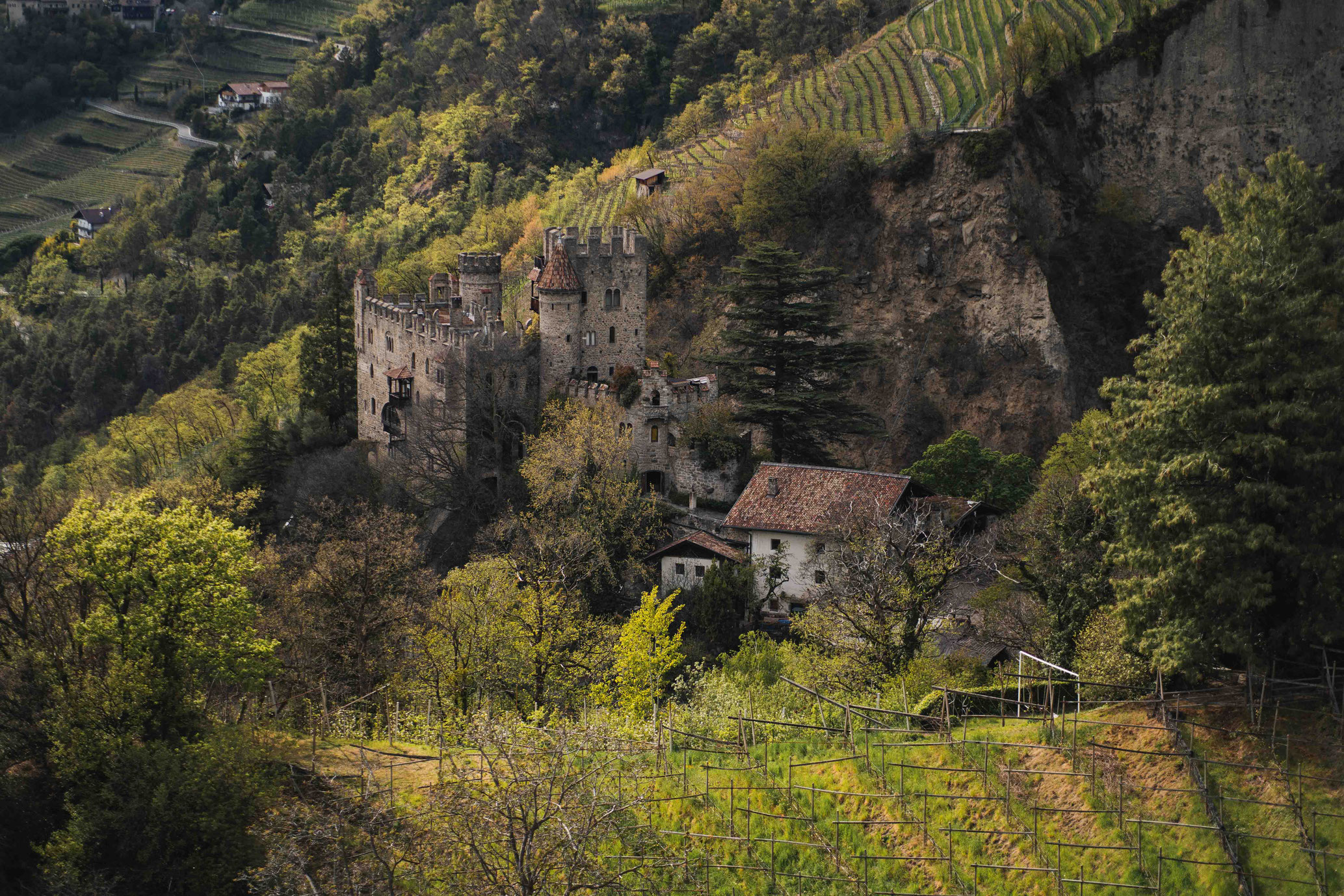 View of Dorf Tirol and its historic castles in South Tyrol - VINEA Suites & Apartments – Adults Only in Dorf Tirol near Merano, South Tyrol - Member of Mountain Hideaways