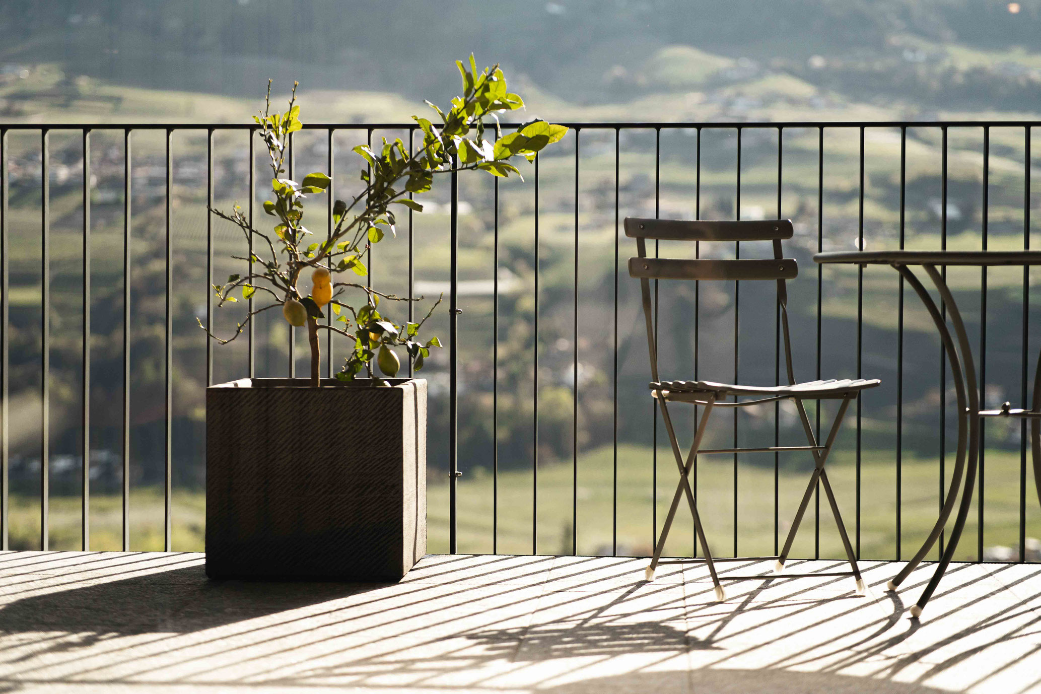 Panoramic terrace overlooking the vineyards at VINEA Suites & Apartments – Adults Only in Dorf Tirol near Merano, South Tyrol - Member of Mountain Hideaways