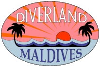 diverlandenglish