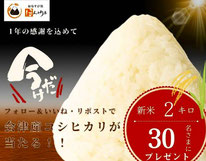 福島県懸賞 - ほんのり屋 会津産コシヒカリプレゼント