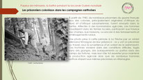 "pow coloniaux kommandos agricoles, la fleche".