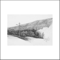 Baum 13