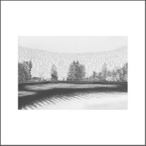 Baum 22