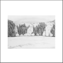 Baum 23