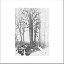 Baum 31