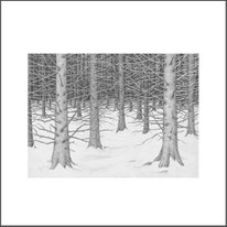 Baum 33