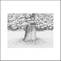 Baum 09 / Original nicht erhältlich