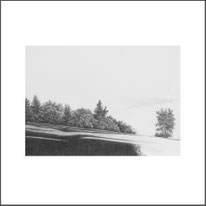Baum 26