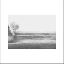 Baum 28