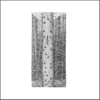 Baum 01