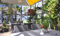 Cafe Schwalbenäscht in Lörrach mit überdachter Gartenwirtschaft.