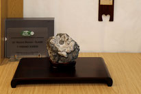 1° Premio shohin-kifu-chuhin: Kikka-Seki - Associazione Arte e Cultura Bergamo Bonsai