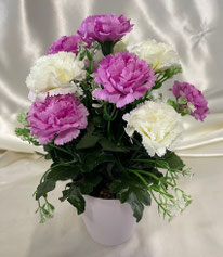 Petit pot de fleurs 19 €