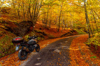 AUTUNNO IN VALTREBBIA