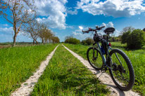 CICLABILE DELLA BONIFICA