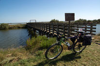 COMACCHIO IN MTB