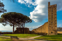 CASTIGLION FIORENTINO