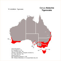 Tigersnake