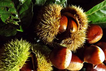 天然きのこ料理おすすめ国産松茸フルコース料理懐石松茸きのこ料理専門店料亭割烹絶品食事処和食処名古屋から日帰りきのこ鍋松茸どびん蒸し焼き松茸グルメランチ愛知岐阜恵那中津川付知峡苗木城跡岩村東濃東海地方コロナ対策3密回避個室貸切安全ランチ和食レストラン日本料理美菜ガルテンふるかわ