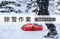 札幌便利屋Suirenの除雪