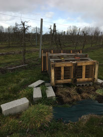 Petit rucher arraché des support par le vent