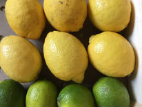 Citrons jaunes et verts