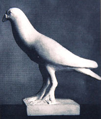 Petit pigeon, 1926-1927