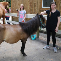 Girls taking responsibility for horse care in camp