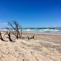 Strand am Meer vor einer Seebestattung