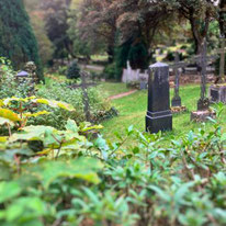 Grabsteine inmitten einer grünen Landschaft auf dem Friedhof in Bad Lauterberg