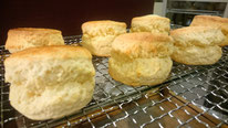 スコーン　Scone　オーガニック