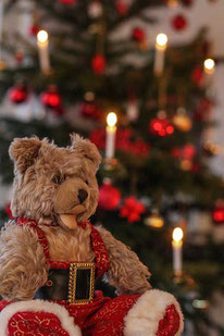 Weihnachtsgedichte: Teddy