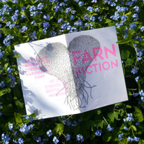 FARN FICTION | Zine