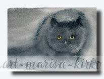 Katzenaugen