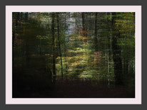 Herbstwald Kunst Bild abstrakt impressionistisch