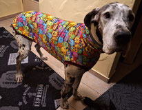 Handgefertigter Hunde-Pullover, Schlafi, bunt French Terry, für Deutsche Dogge maßgeschneidert von Bijou Chien