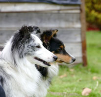 Donna und Ellie