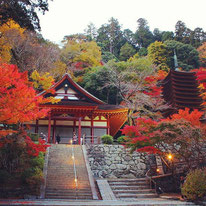 桜井市　談山神社