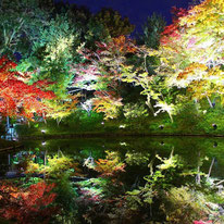 京都市東山区　高台寺