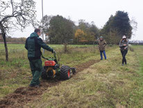 Nach der Theorie ging es an die Praxis. Mitglieder des NABU Rodgau und der StreuObstCoOp bereiteten mit Maschinen den Boden vor, um der Natur im Frühjahr blühende Wiesen als Insektennahrung anzubieten. Foto: NABU Rodgau, ©Pulwey