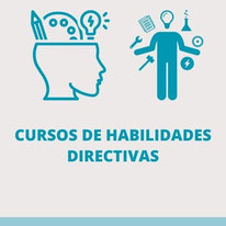 Cursos  Bonificados de Habilidades Directivas