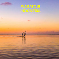Wakatobi, Indonesia