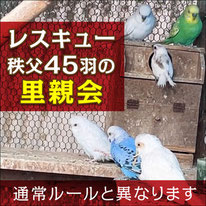 秩父レスキュー里親会