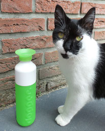 Dopper-groen-review-ervaring-met-kat