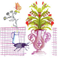Blumen & Stillleben