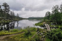 Drevsjemoen
