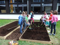 Kinder bepflanzen die Beete