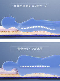 およそ1300の点で支える独自の凹凸構造は身体全体をバランスよく受け止めて、理想的な寝姿勢を保持します。